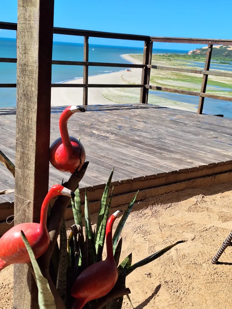 Decoração de flamingos no deck