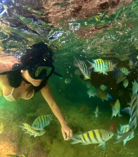 Mergulhadora entre peixes listrados