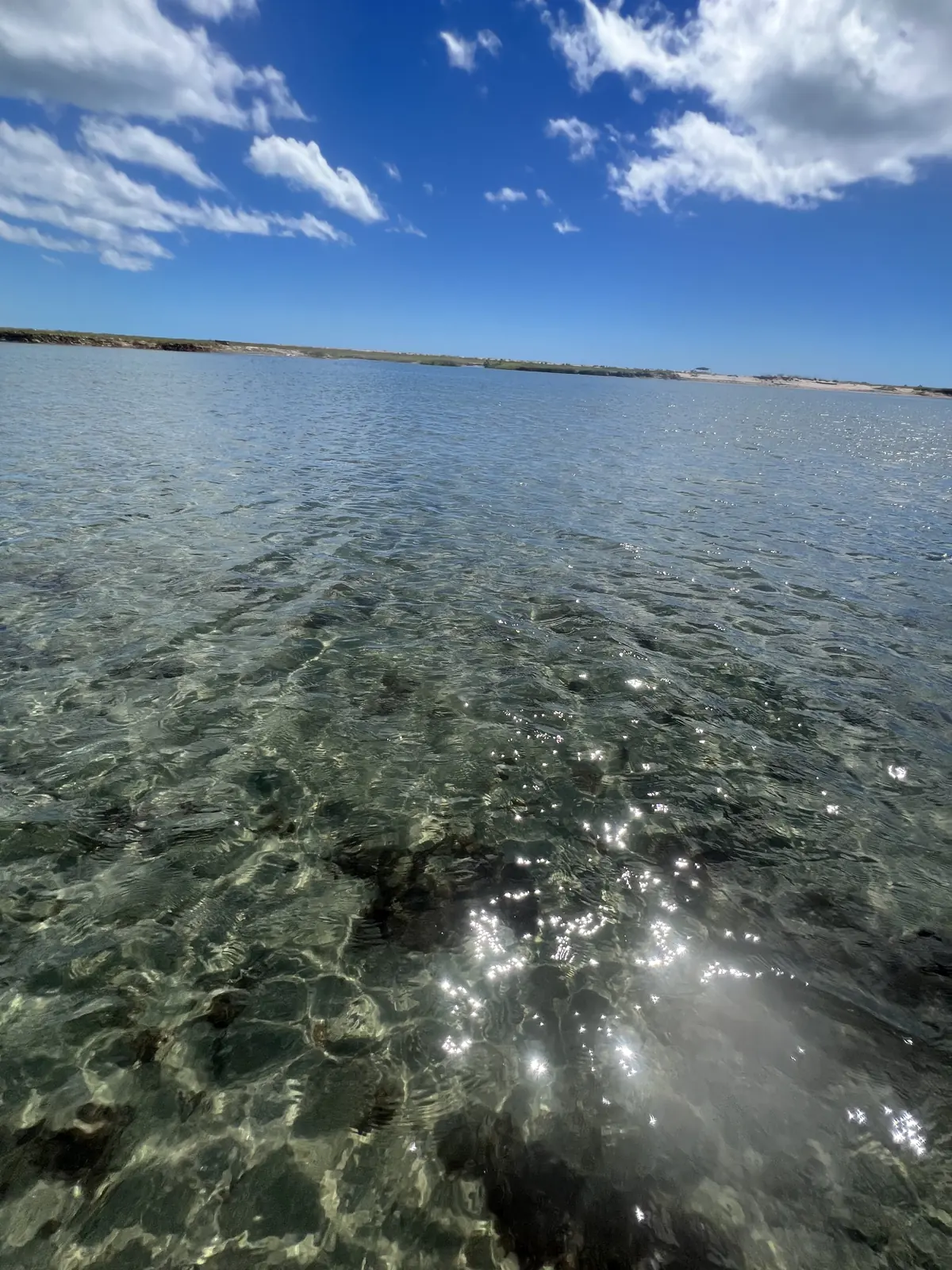 Água cristalina das piscinas naturais com a maré baixa em Retiro Grande